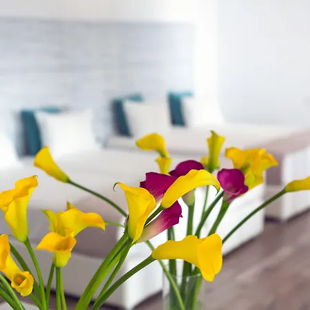 Tropicana , & Mykonos 酒店 天堂海滩