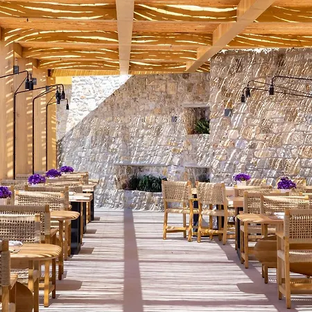 Tropicana , & Mykonos 4* פרדייז ביץ'