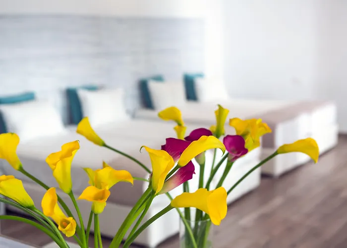 Tropicana , & Mykonos Hotell Paradise Beach (Mykonos)